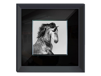 Obraz postać koń 60x60 cm S61577
