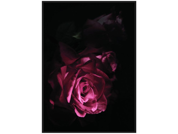 Nowoczesny obraz z różą 122x82 cm TOIR25601