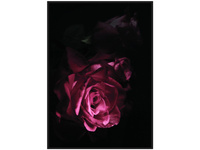 Nowoczesny obraz z różą 122x82 cm TOIR25601